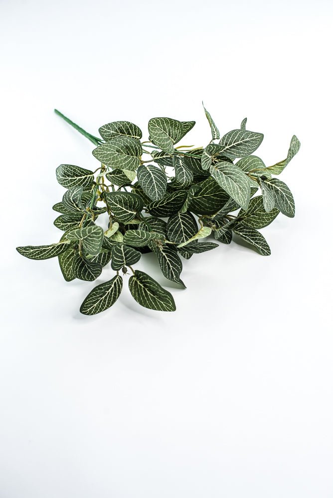 Mini fittonia leaf bush - Greenery Market13650GN