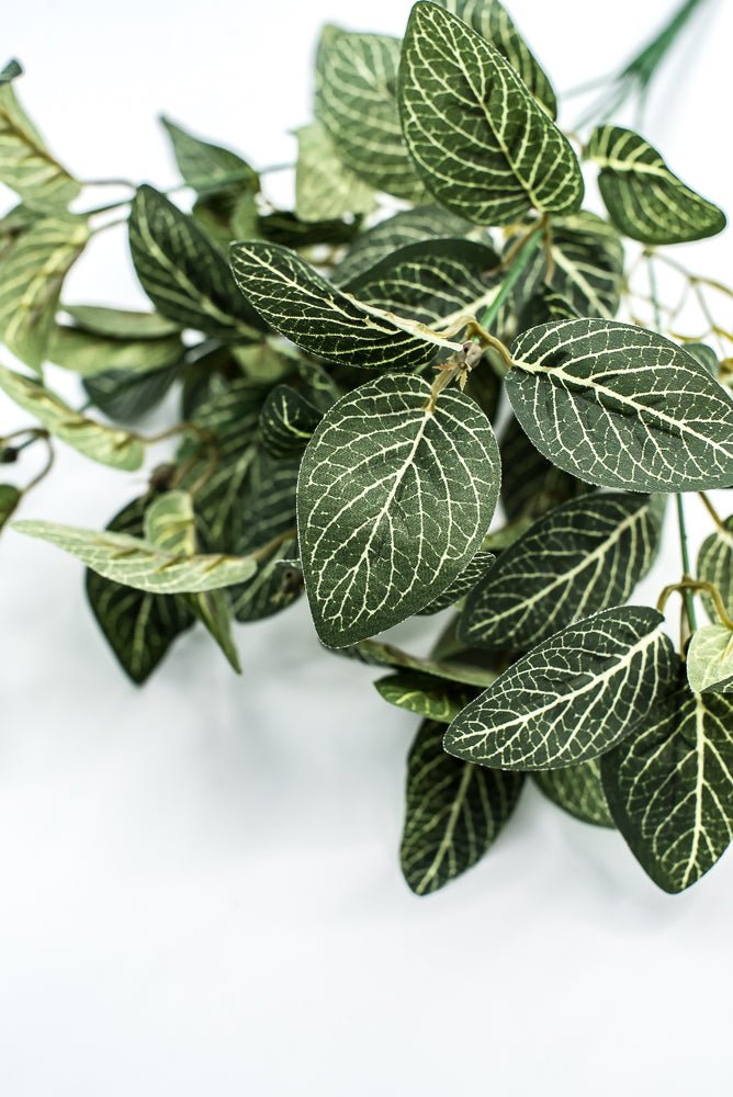 Mini fittonia leaf bush - Greenery Market13650GN