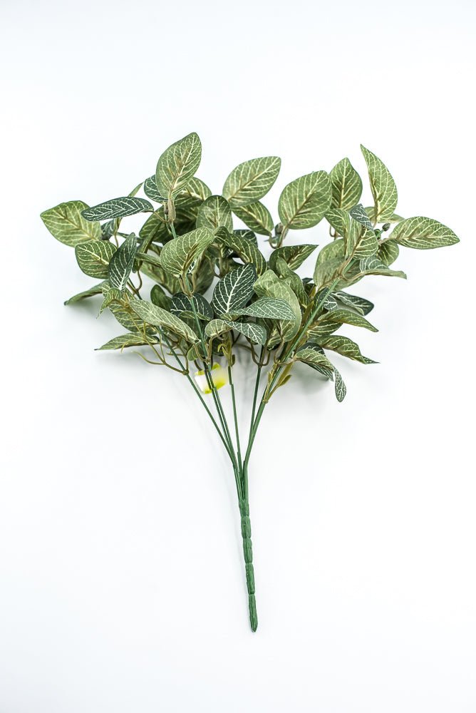 Mini fittonia leaf bush - Greenery Market13650GN