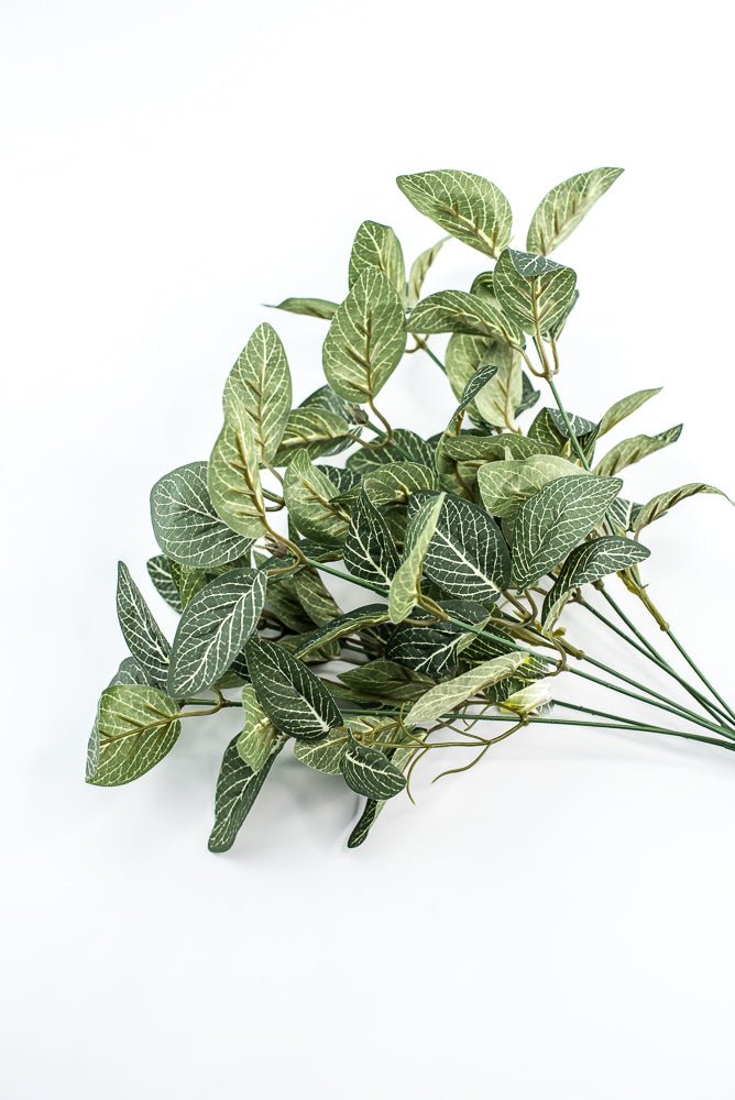 Mini fittonia leaf bush - Greenery Market13650GN