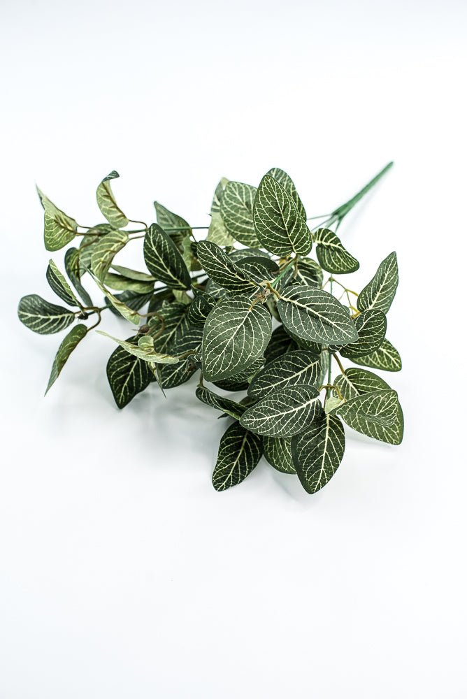 Mini fittonia leaf bush - Greenery Market13650GN