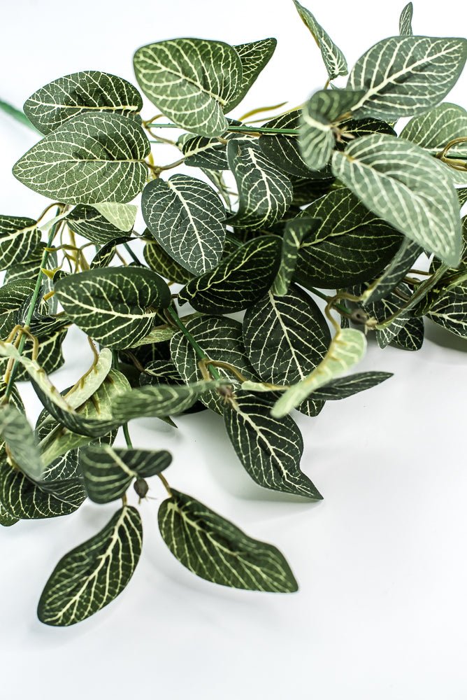 Mini fittonia leaf bush - Greenery Market13650GN