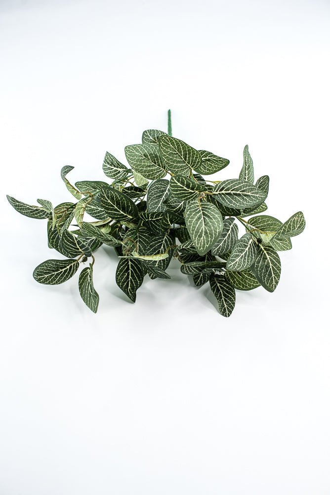 Mini fittonia leaf bush - Greenery Market13650GN