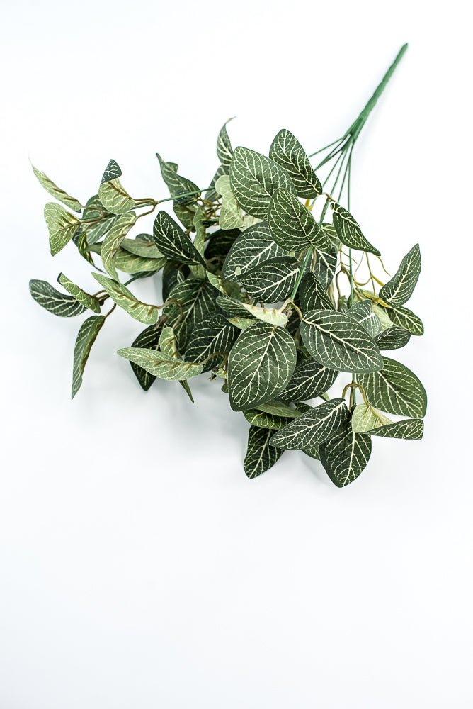 Mini fittonia leaf bush - Greenery Market13650GN