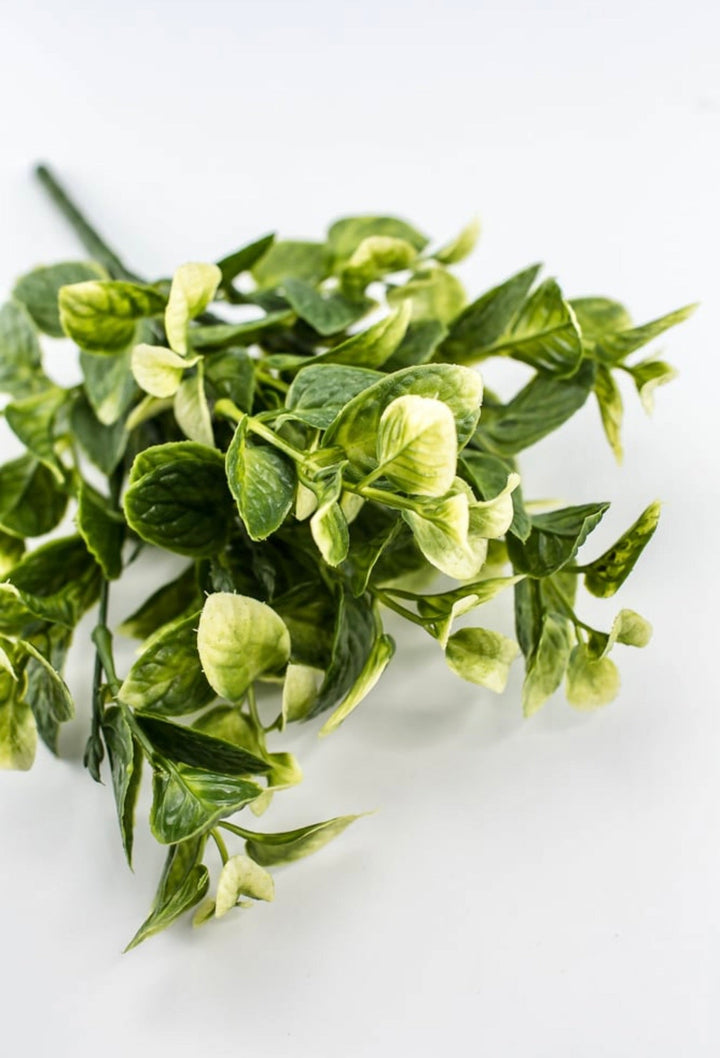 Mint greenery bush - Greenery MarketgreeneryFL5599 - G