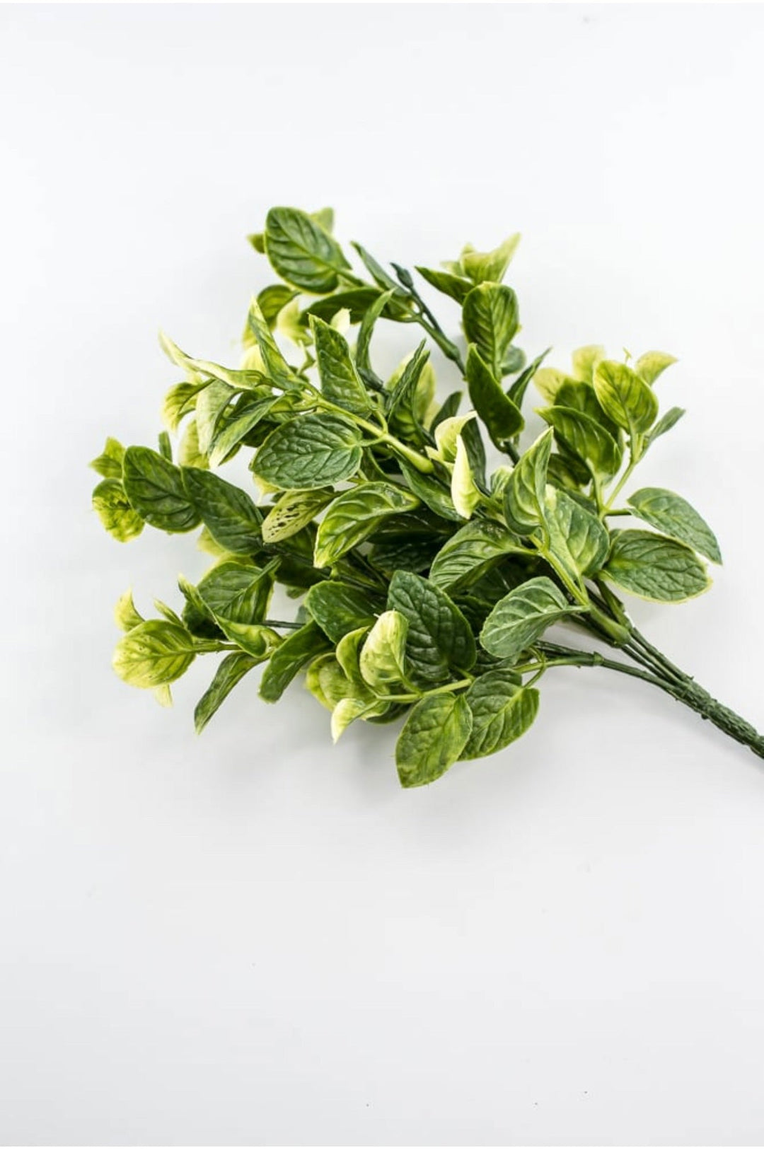 Mint greenery bush - Greenery MarketgreeneryFL5599 - G