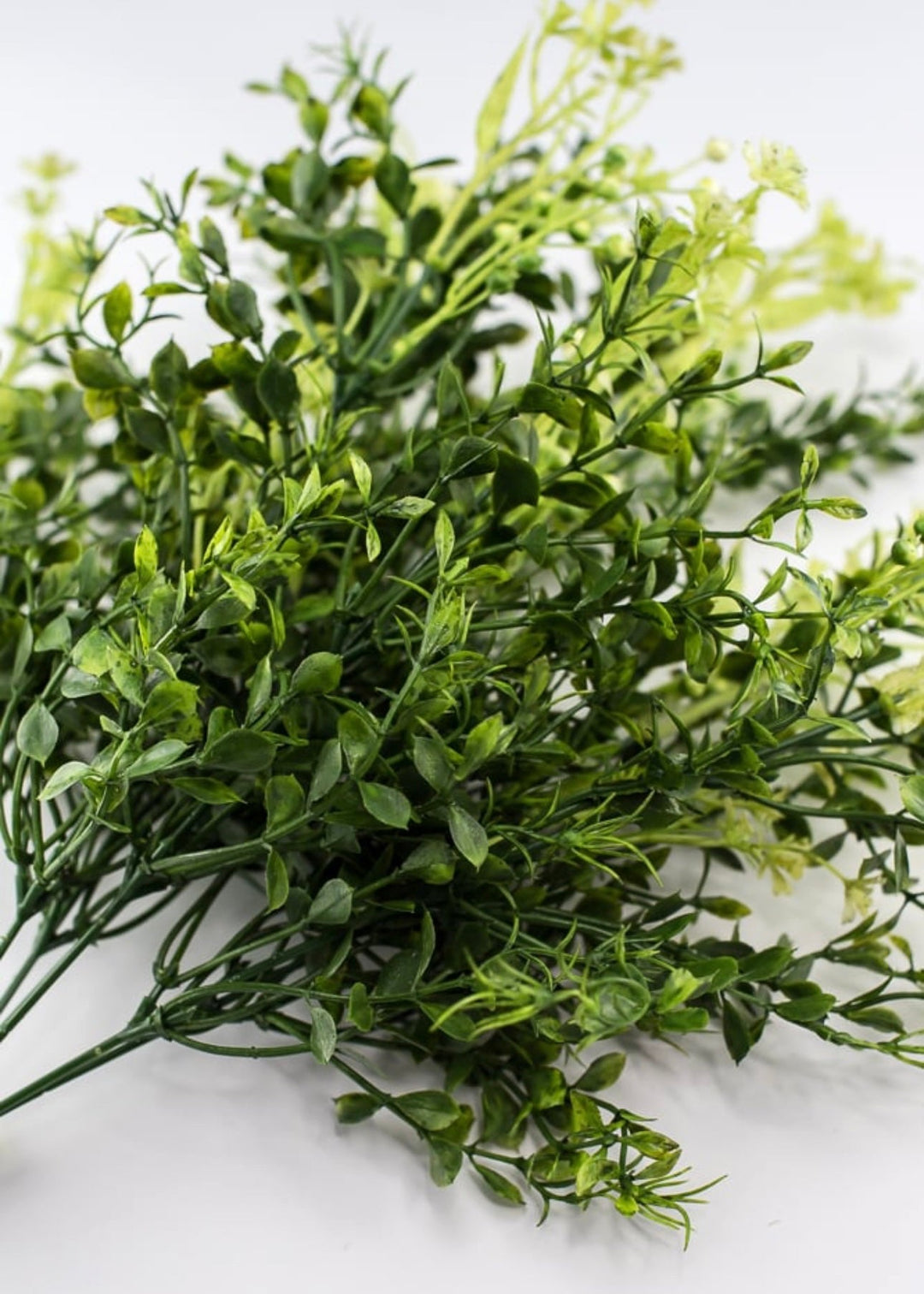 Mixed greenery - mixed boxwood and leaves bush - Greenery Marketgreenery13569GN