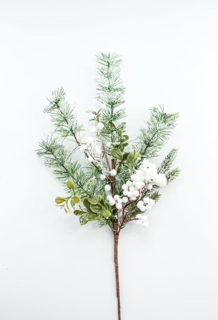 Mixed pine with white snowy berries pick - Greenery Market62612