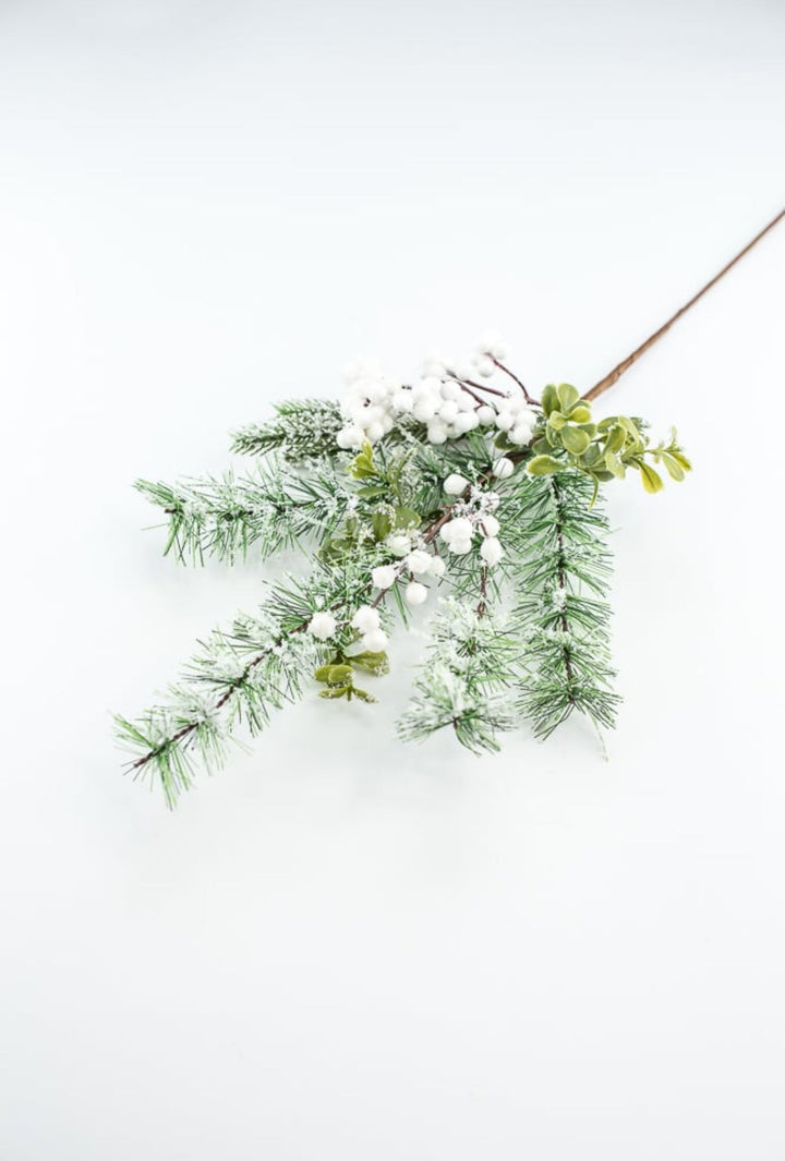 Mixed pine with white snowy berries pick - Greenery Market62612