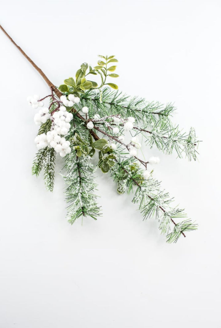 Mixed pine with white snowy berries pick - Greenery Market62612