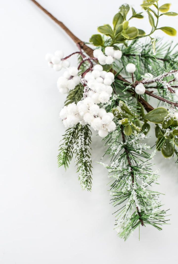 Mixed pine with white snowy berries pick - Greenery Market62612