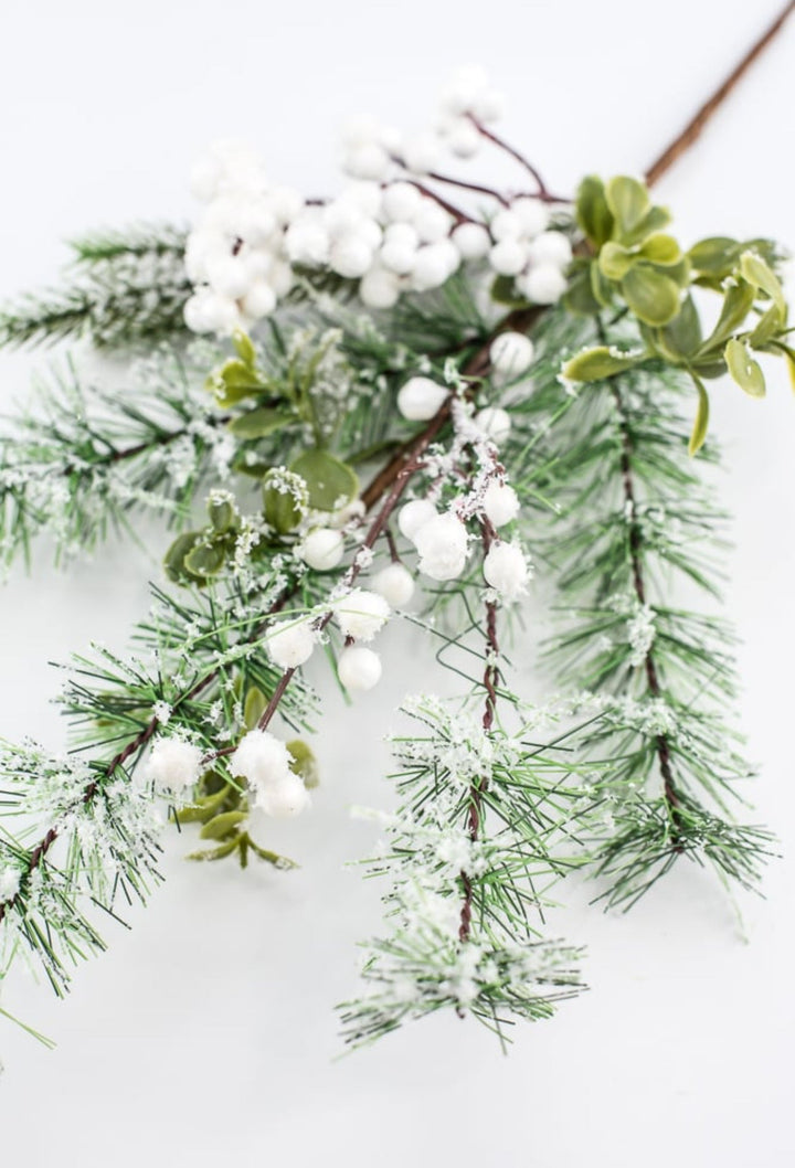 Mixed pine with white snowy berries pick - Greenery Market62612