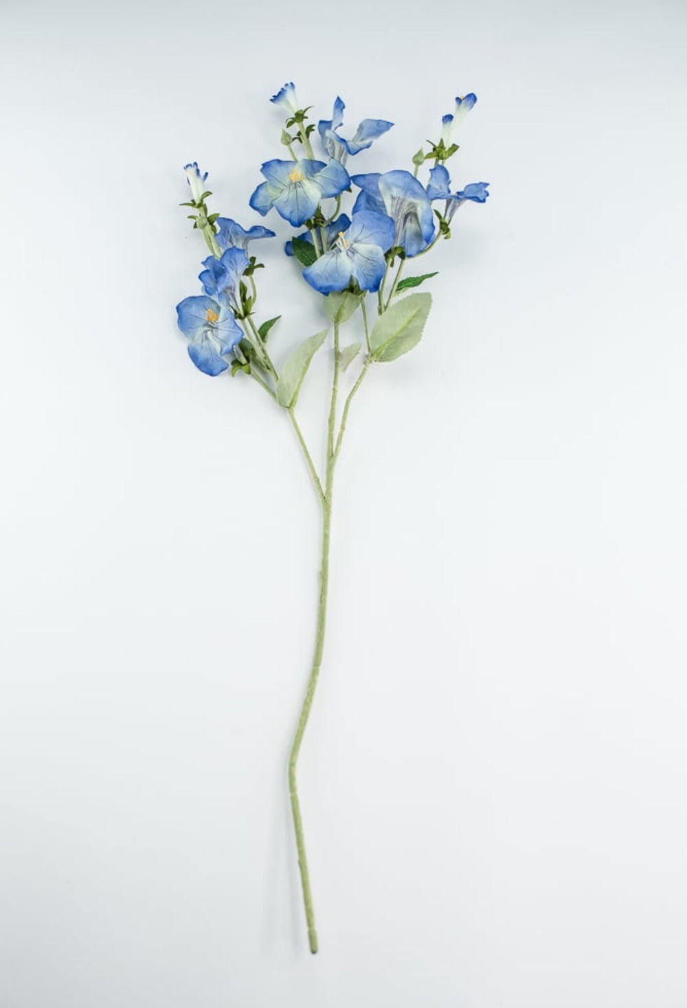 Morning glory spray - blue - Greenery Market5993 - b