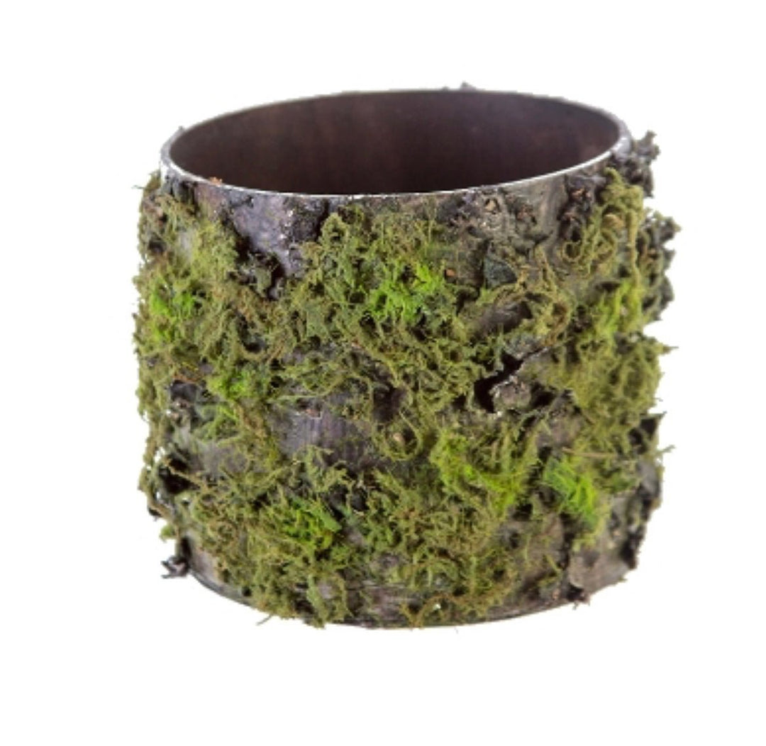 Mossy log arrangement container 4.5” - Greenery Market2370143G
