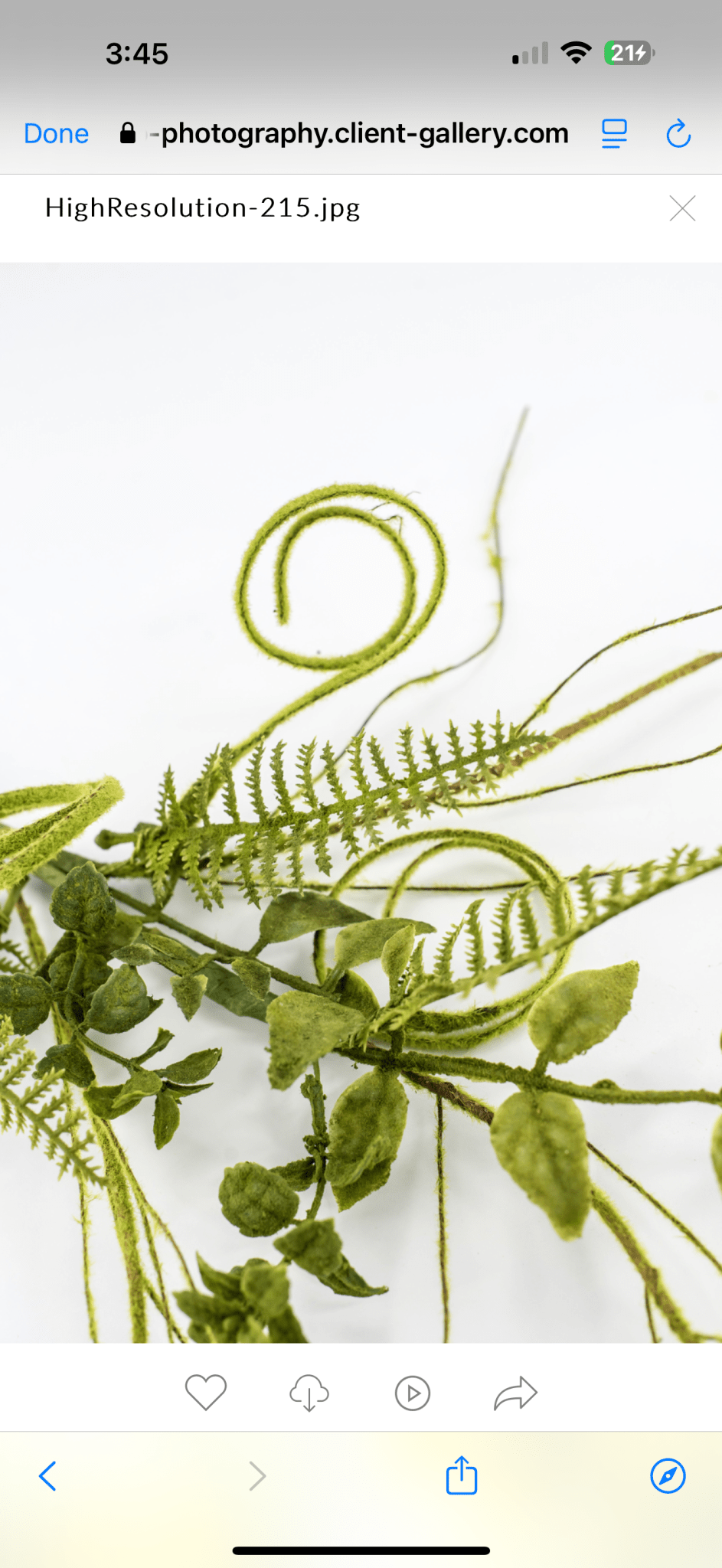 Mossy Twigs And Leaves Pick - Greenery Market62077SP16