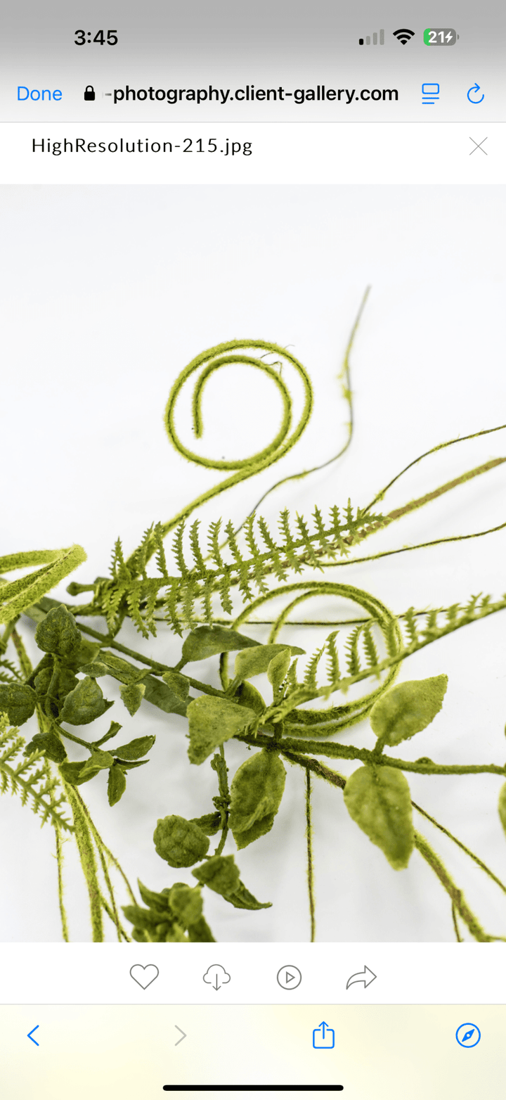 Mossy Twigs And Leaves Pick - Greenery Market62077SP16