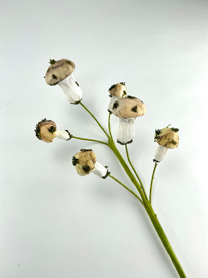 Mushroom Spray - Greenery market exclusive - Greenery MarketGM342SP17