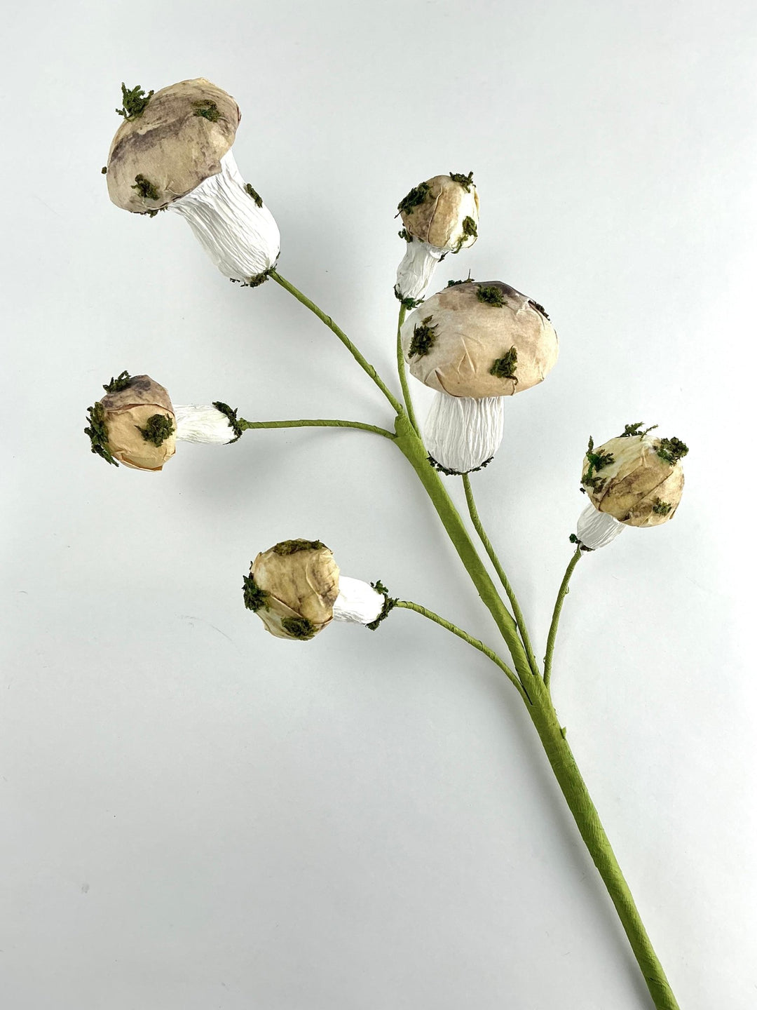 Mushroom Spray - Greenery market exclusive - Greenery MarketGM342SP17