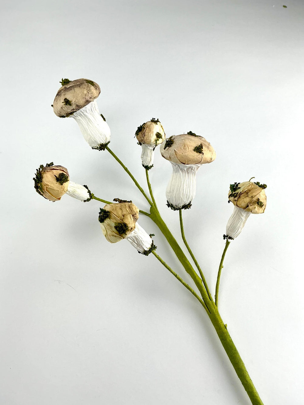 Mushroom Spray - Greenery market exclusive - Greenery MarketGM342SP17