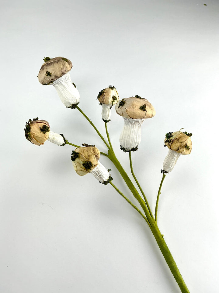 Mushroom Spray - Greenery market exclusive - Greenery MarketGM342SP17