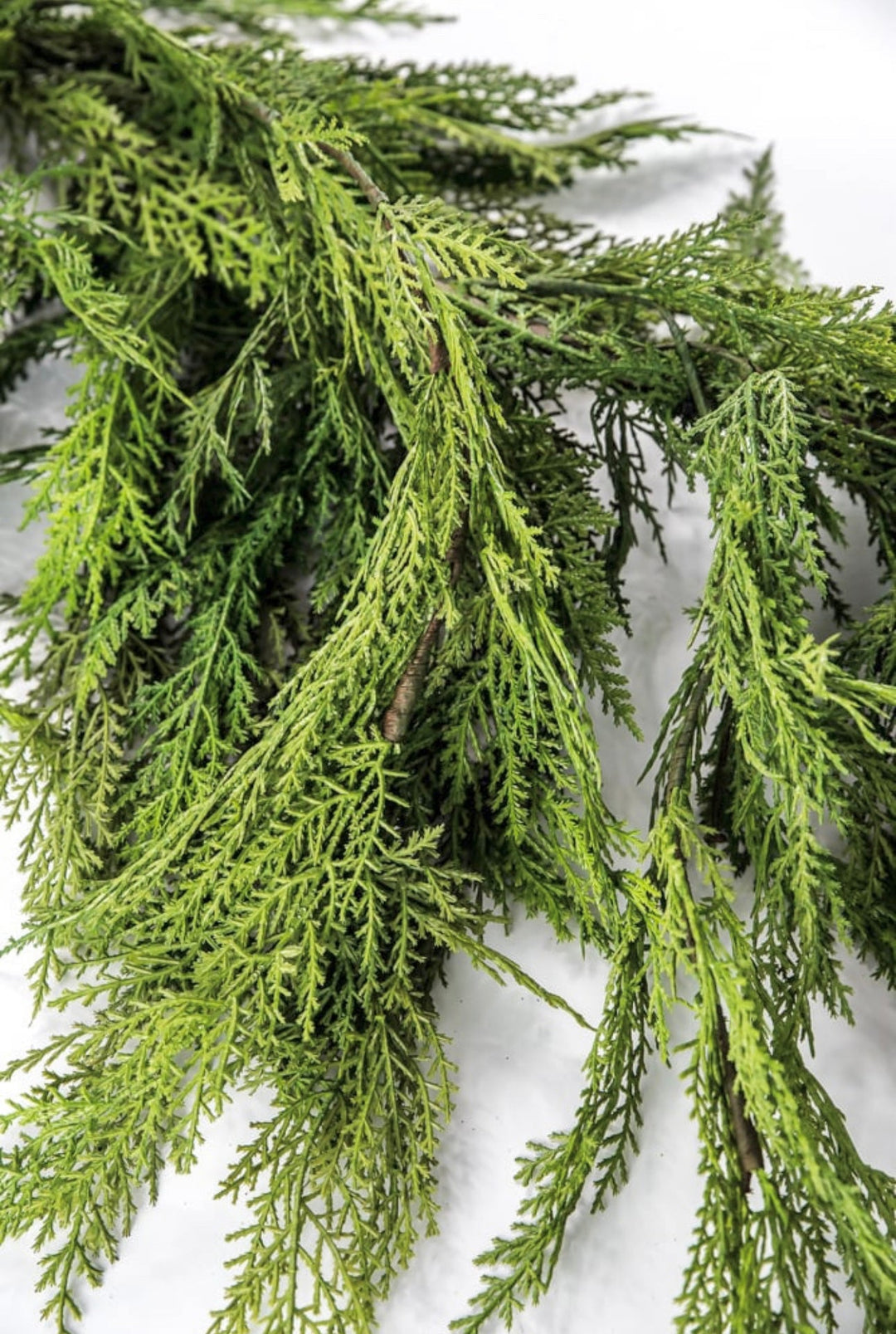 Natural touch dripping cedar garland 40” - Greenery MarketMTX73278