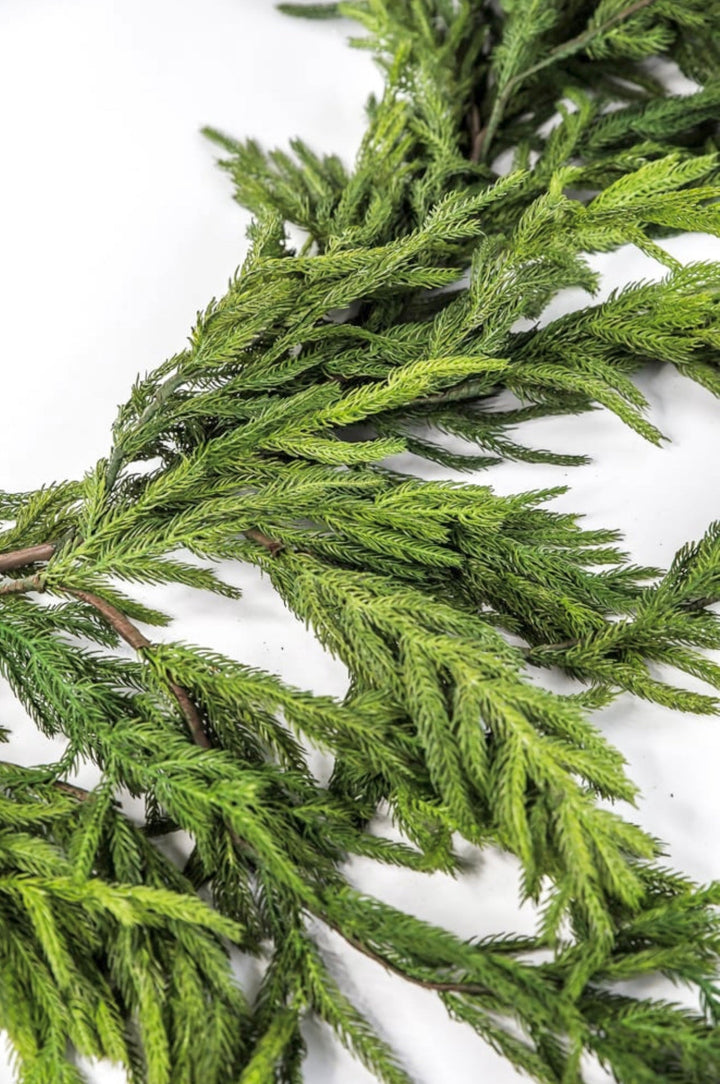 Natural touch dripping norfolk garland - Greenery MarketGarlandMTX73276
