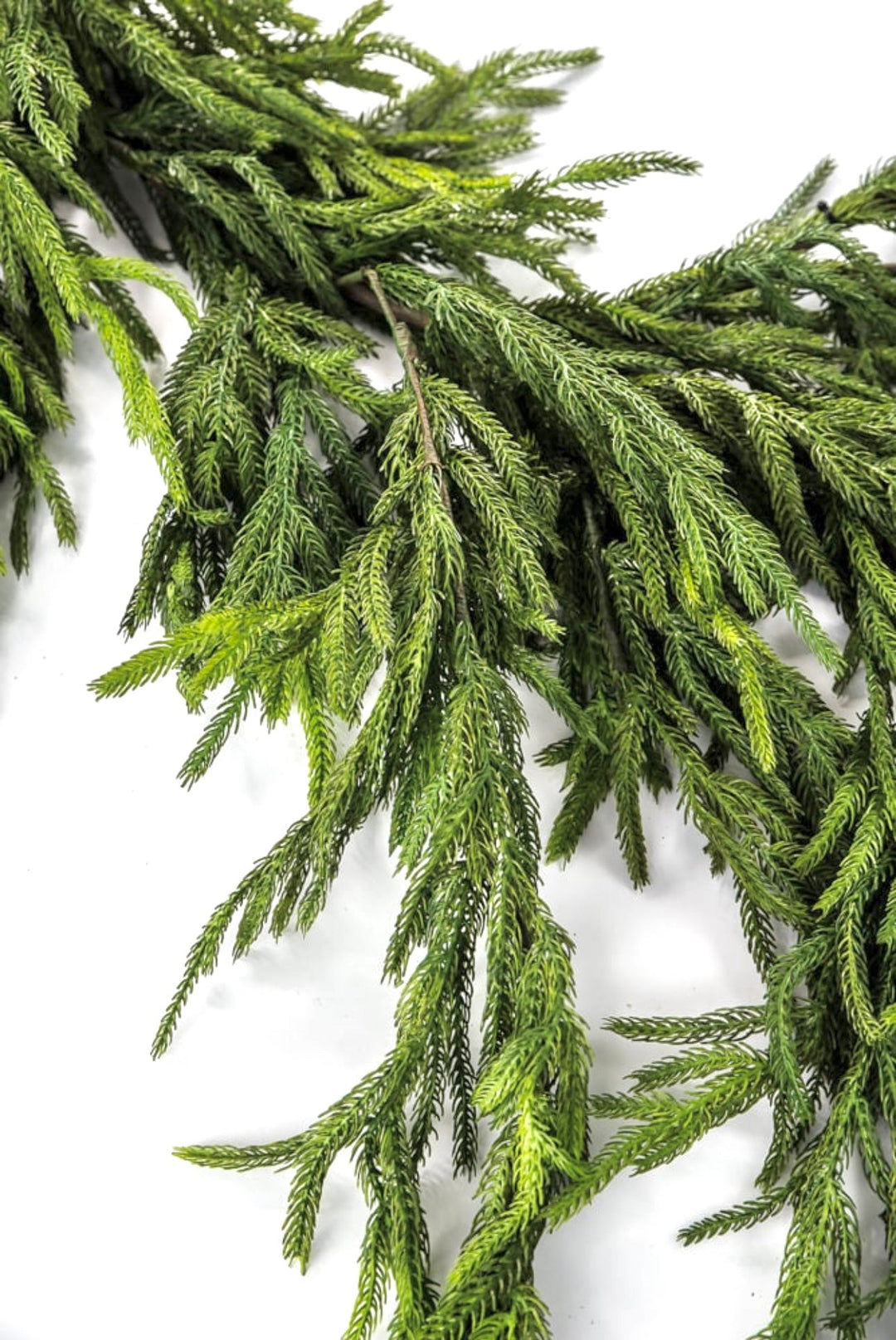 Natural touch dripping norfolk garland - Greenery MarketGarlandMTX73276