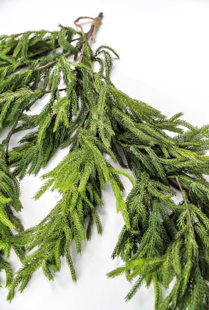 Natural touch dripping norfolk garland - Greenery MarketGarlandMTX73276
