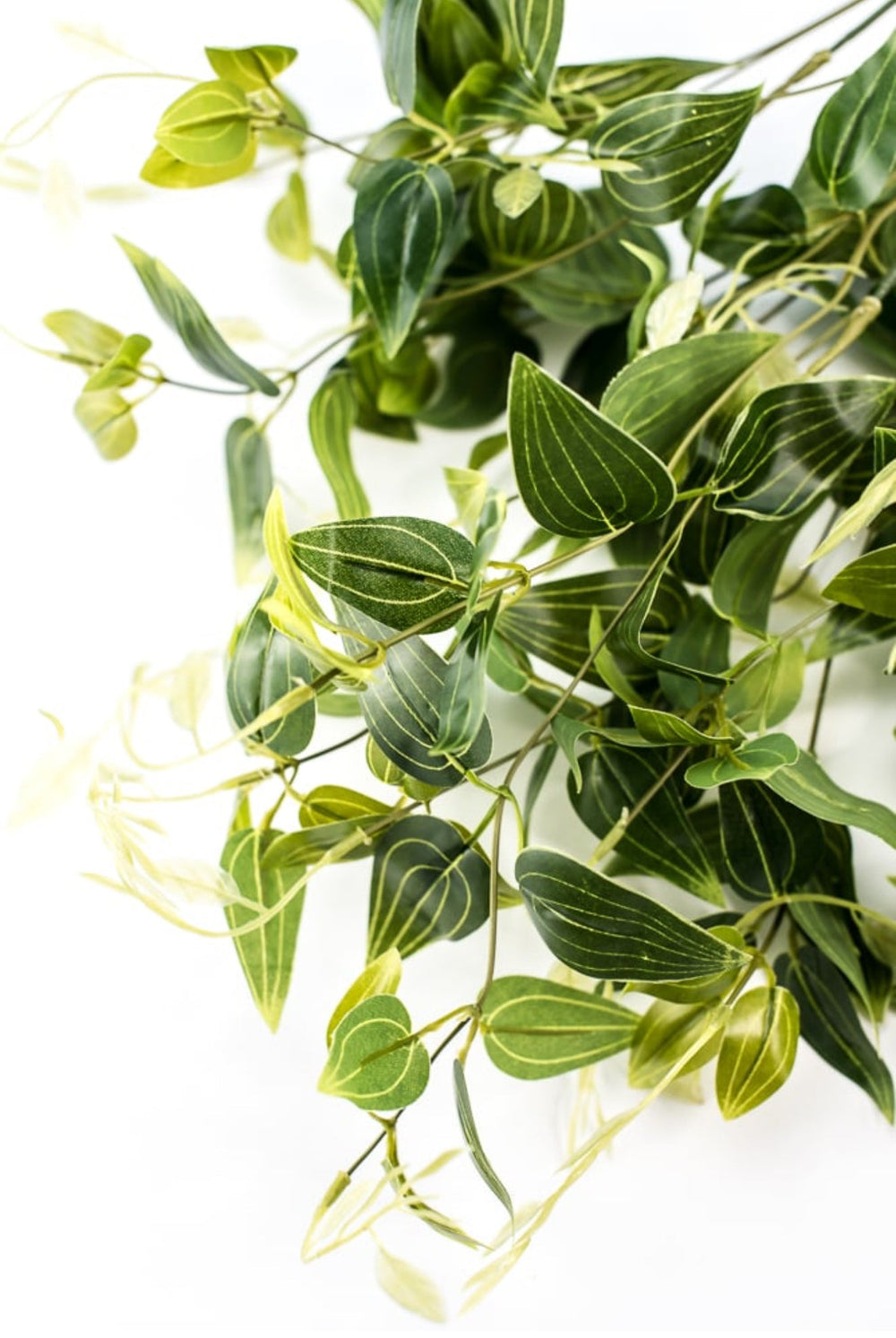 Natural touch vining leaf bush - Greenery MarketgreeneryMTF23231