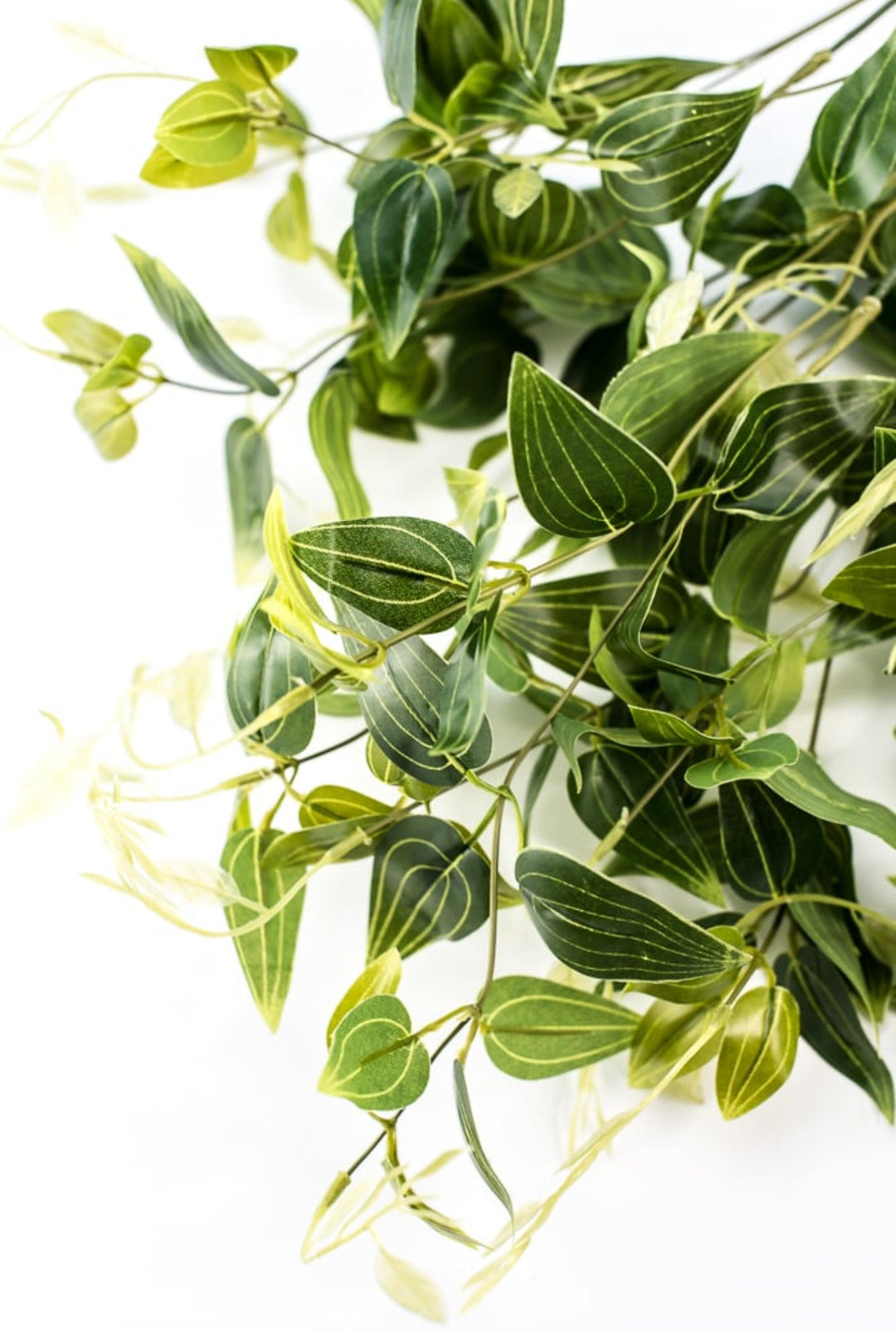 Natural touch vining leaf bush - Greenery MarketgreeneryMTF23231