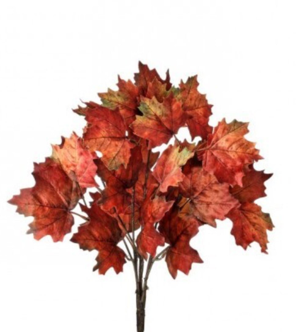 Northern Vermont maple leaves bush - Greenery MarketMTH13073 CISP