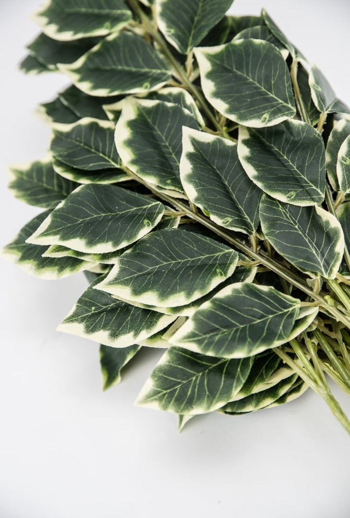 ONE DOZEN - Variegated leaf sprays - Greenery Marketgreenery13147VAGN x ONE DOZEN