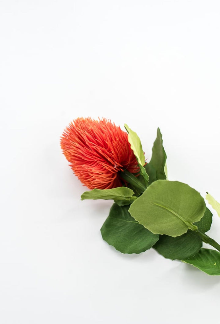 Orange Banksia Stem - Greenery Market63674OR