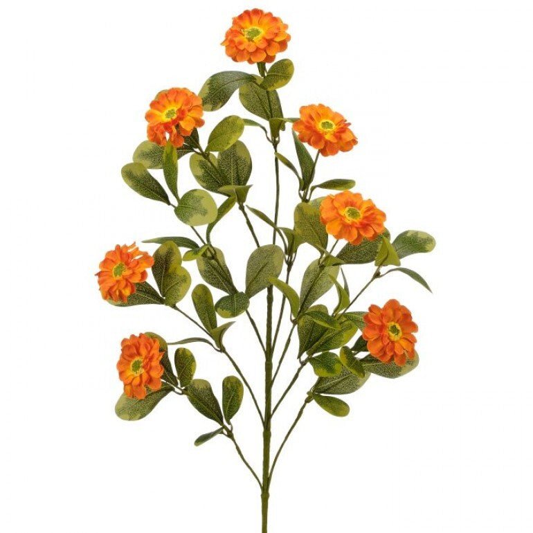 Orange Button Zinnia Spray - Greenery MarketMTF24321 ORNG