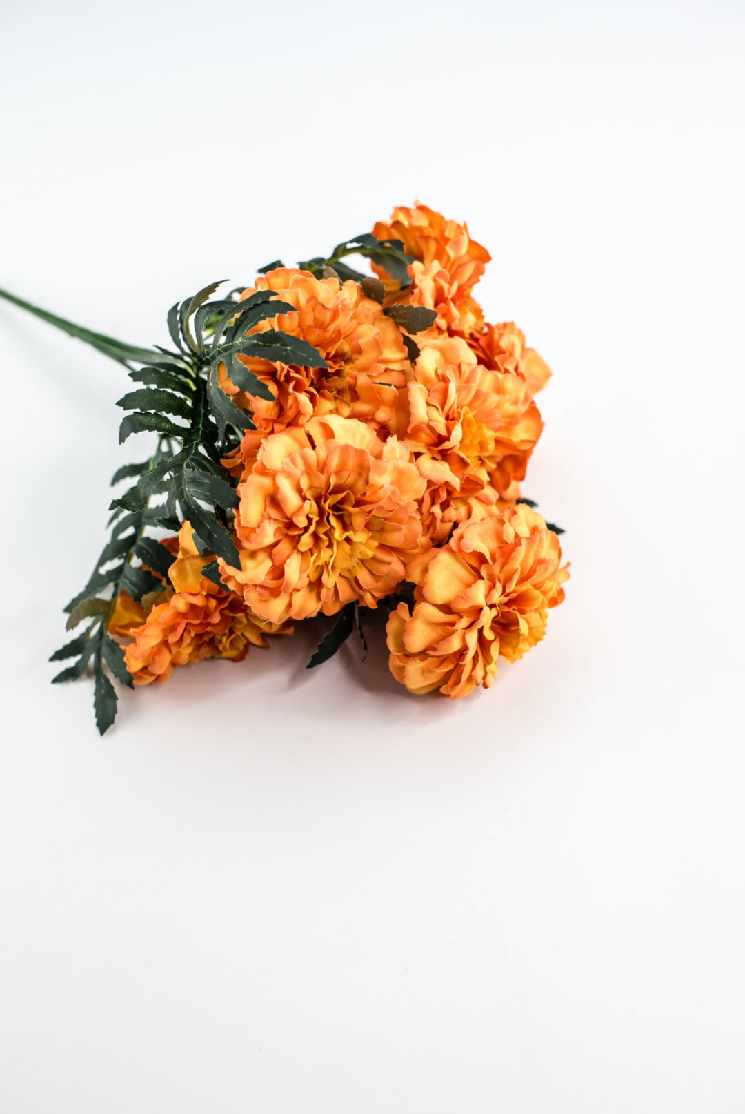 Orange marigold bush - Greenery MarketMTF24335 ORNG