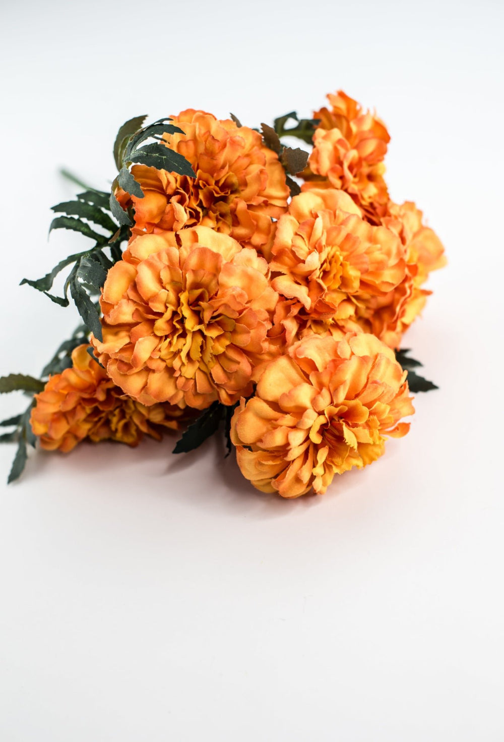 Orange marigold bush - Greenery MarketMTF24335 ORNG