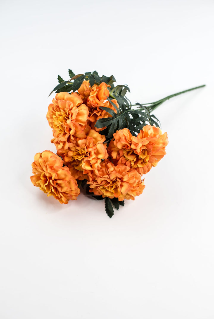 Orange marigold bush - Greenery MarketMTF24335 ORNG