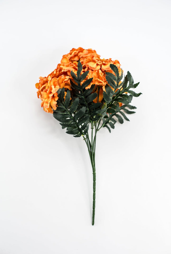 Orange marigold bush - Greenery MarketMTF24335 ORNG