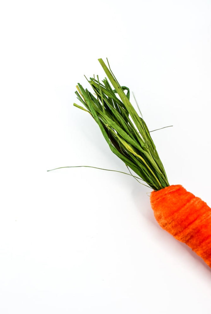 Orange Velvet Carrots Spray - Greenery MarketPicks634360R