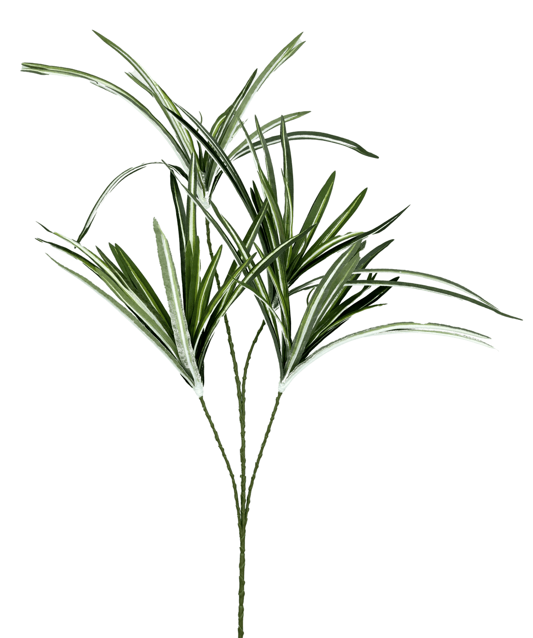 Orchid Grass Spray - Greenery Market13617VAGN