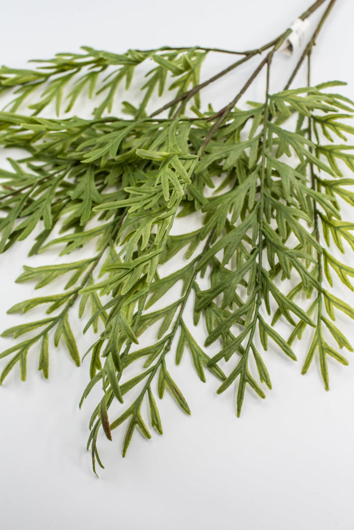 Oyster Fern Spray - Soft Touch - Greenery Market28305