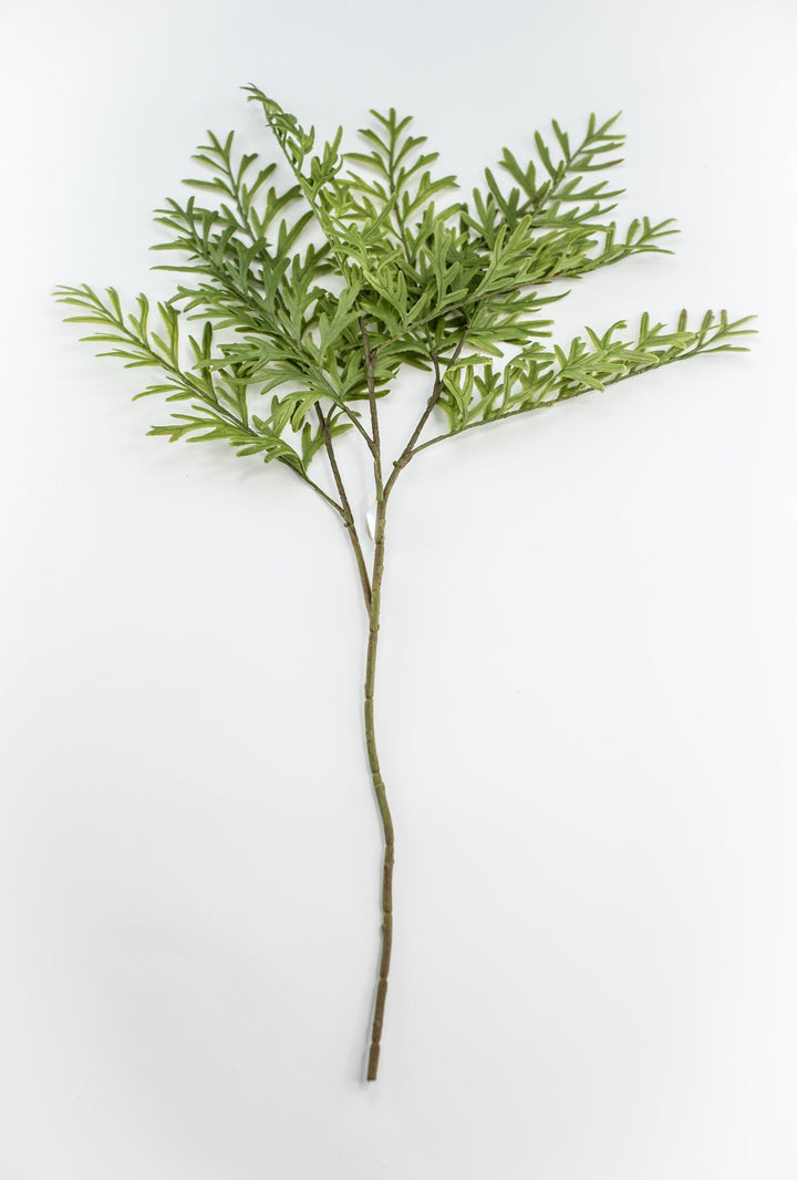 Oyster Fern Spray - Soft Touch - Greenery Market28305