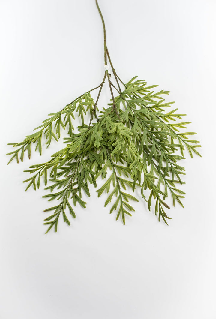 Oyster Fern Spray - Soft Touch - Greenery Market28305