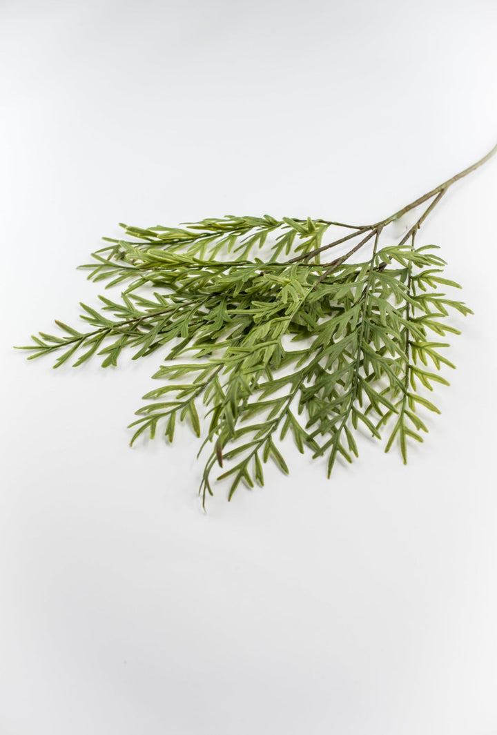 Oyster Fern Spray - Soft Touch - Greenery Market28305