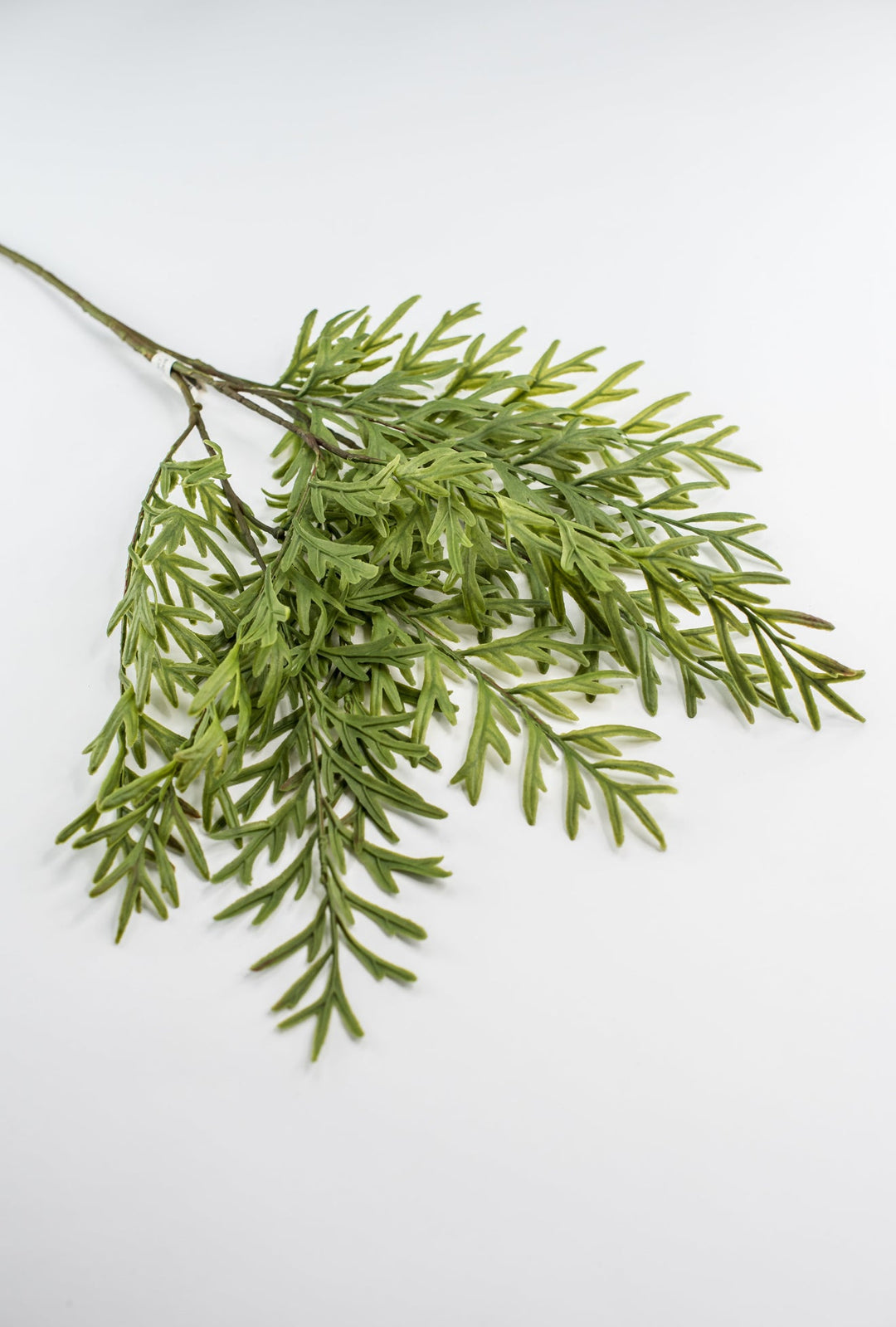 Oyster Fern Spray - Soft Touch - Greenery Market28305