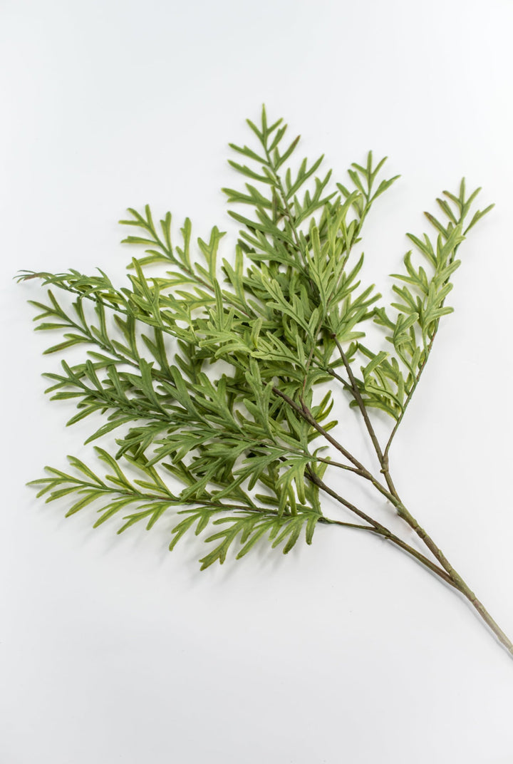 Oyster Fern Spray - Soft Touch - Greenery Market28305