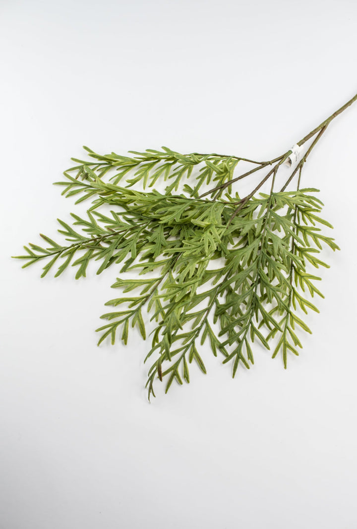 Oyster Fern Spray - Soft Touch - Greenery Market28305