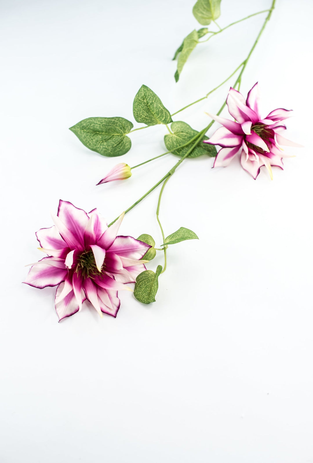Passion Clematis vine spray - Greenery Marketartificial flowers2285119FU