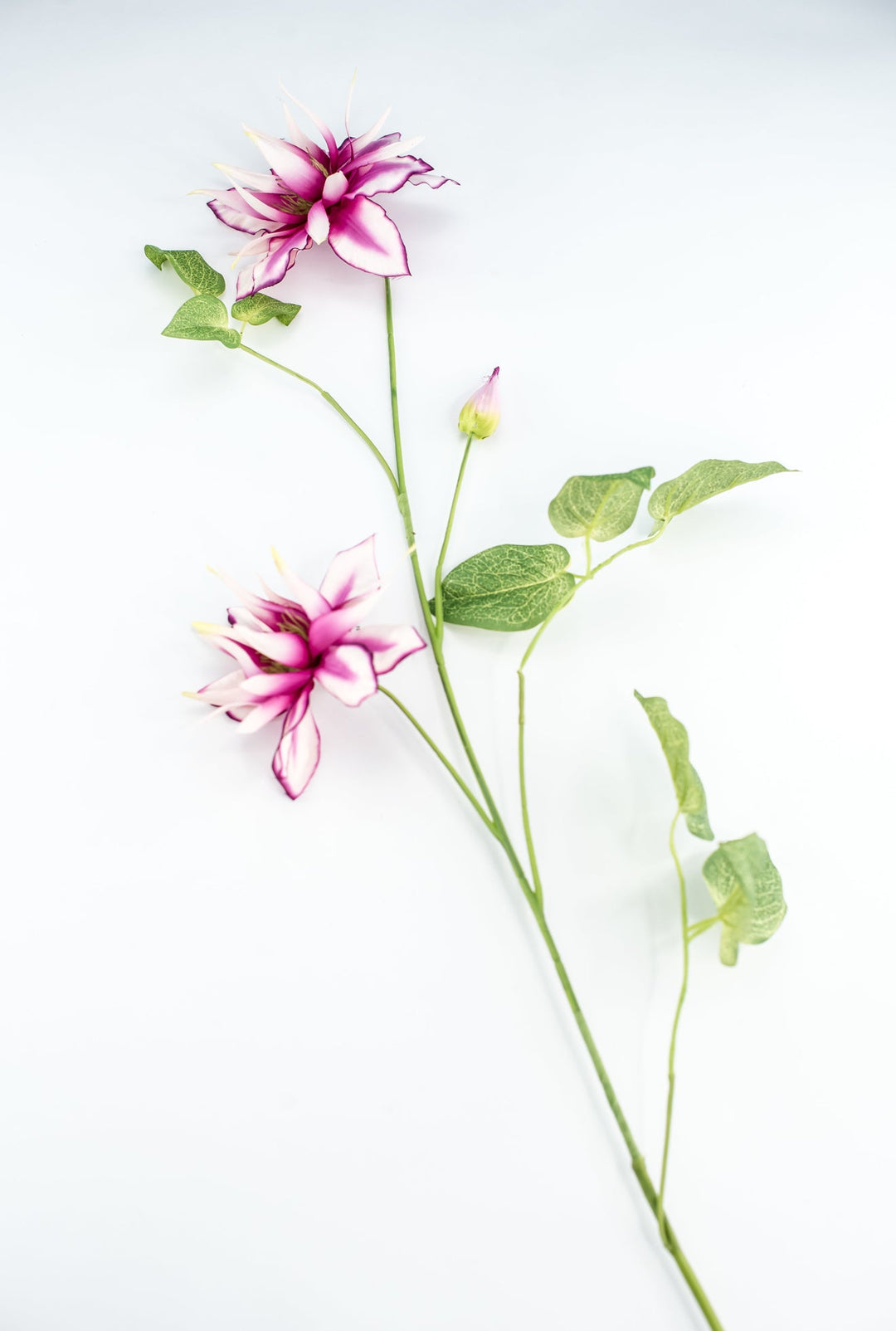 Passion Clematis vine spray - Greenery Marketartificial flowers2285119FU