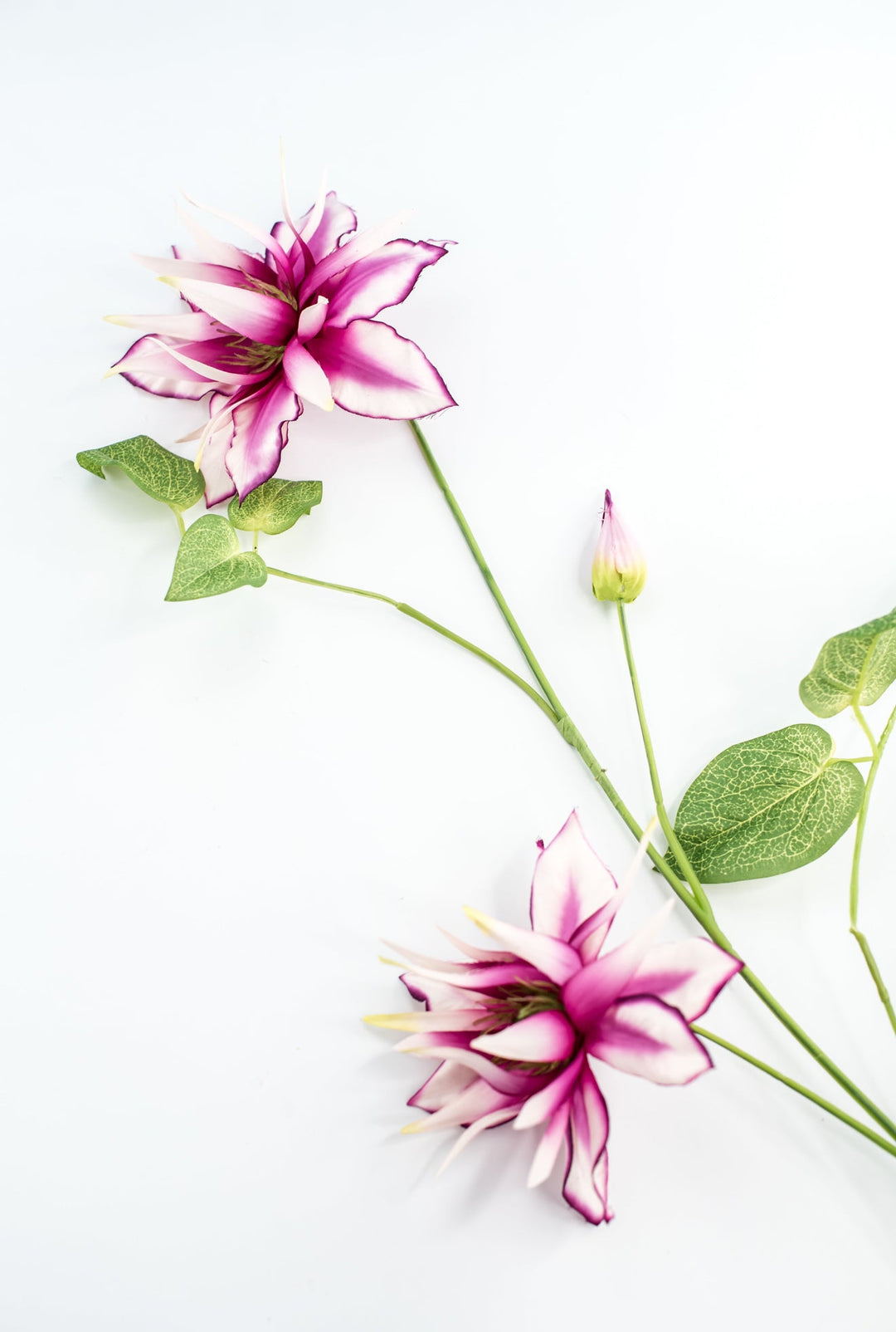 Passion Clematis vine spray - Greenery Marketartificial flowers2285119FU